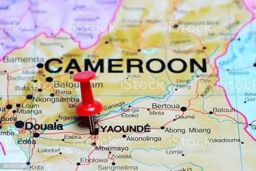 Primeres donacions per al container de Camerún